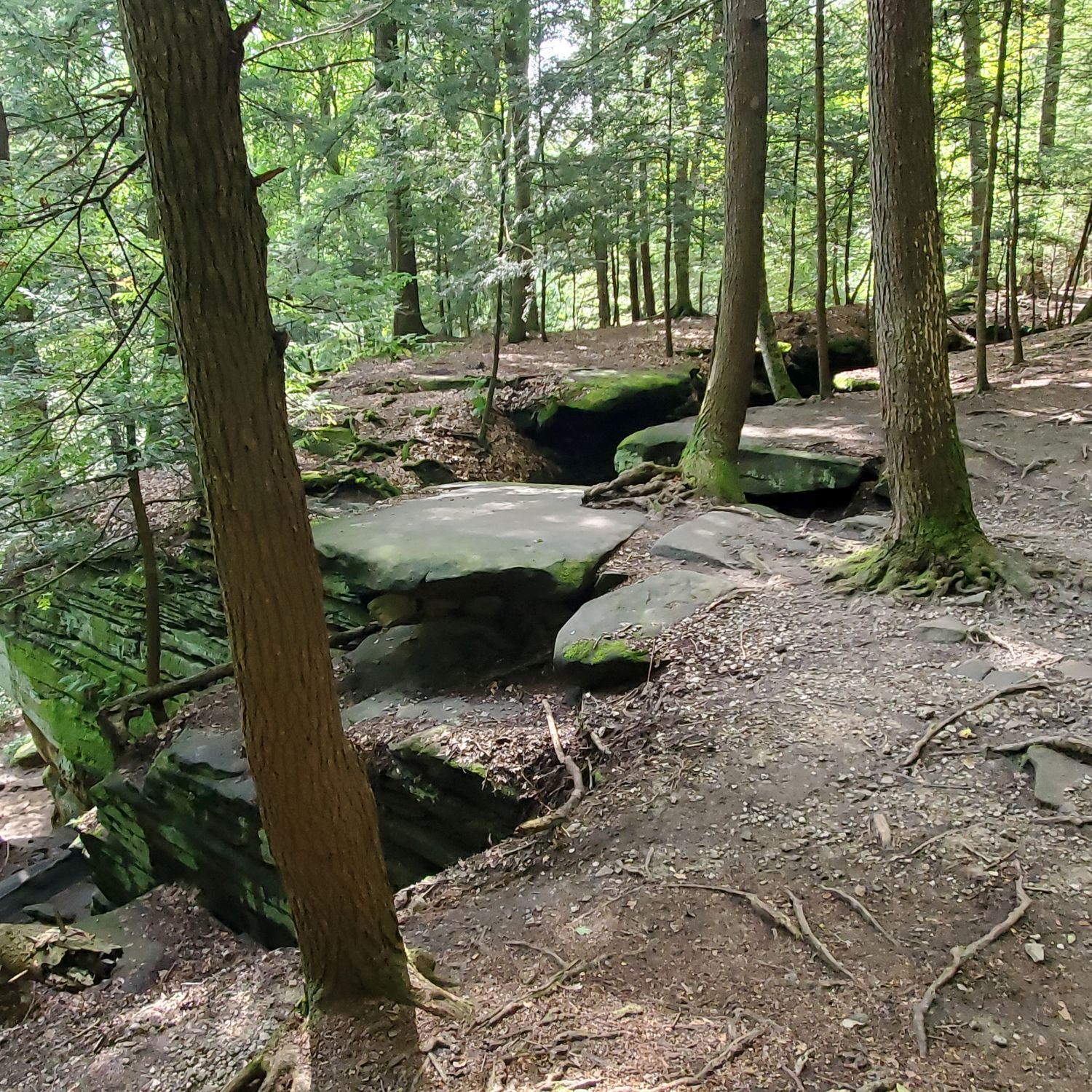 Ledges and Pine Grove Trails 